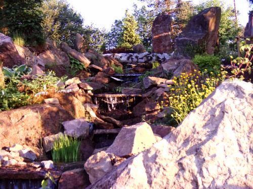 gartenteich_02
